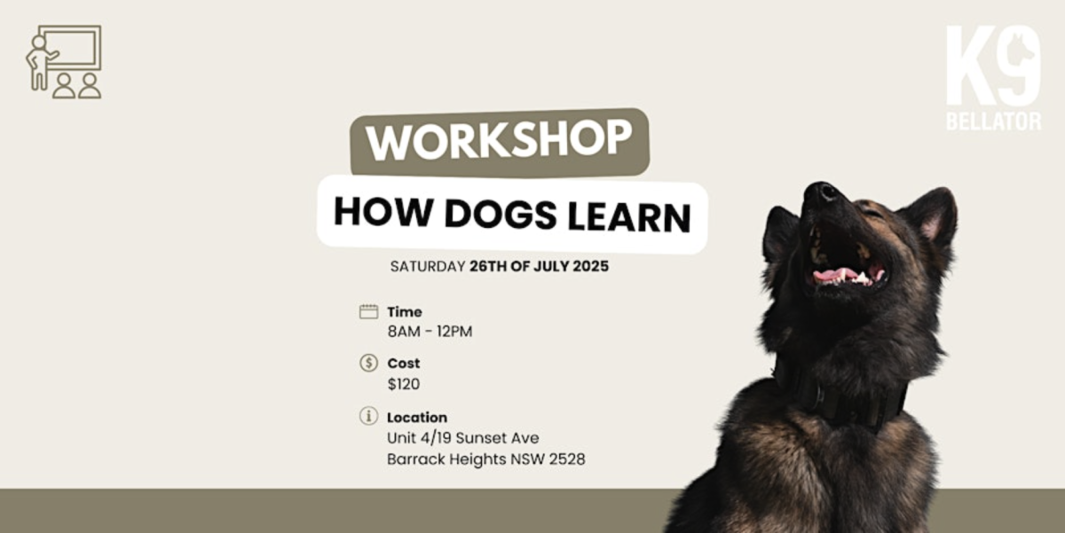 Banner for How Dogs Learn workshop
